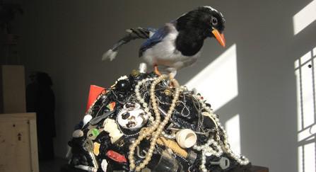 A work by Mark Dion at Goodwater Gallery