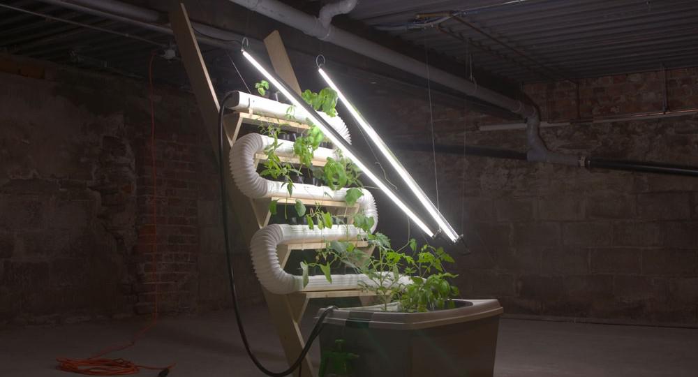 Brad Tinmouth Hydroponic Unit 2012 Installation view Courtesy the artist / photo Lili Huston-Herterich