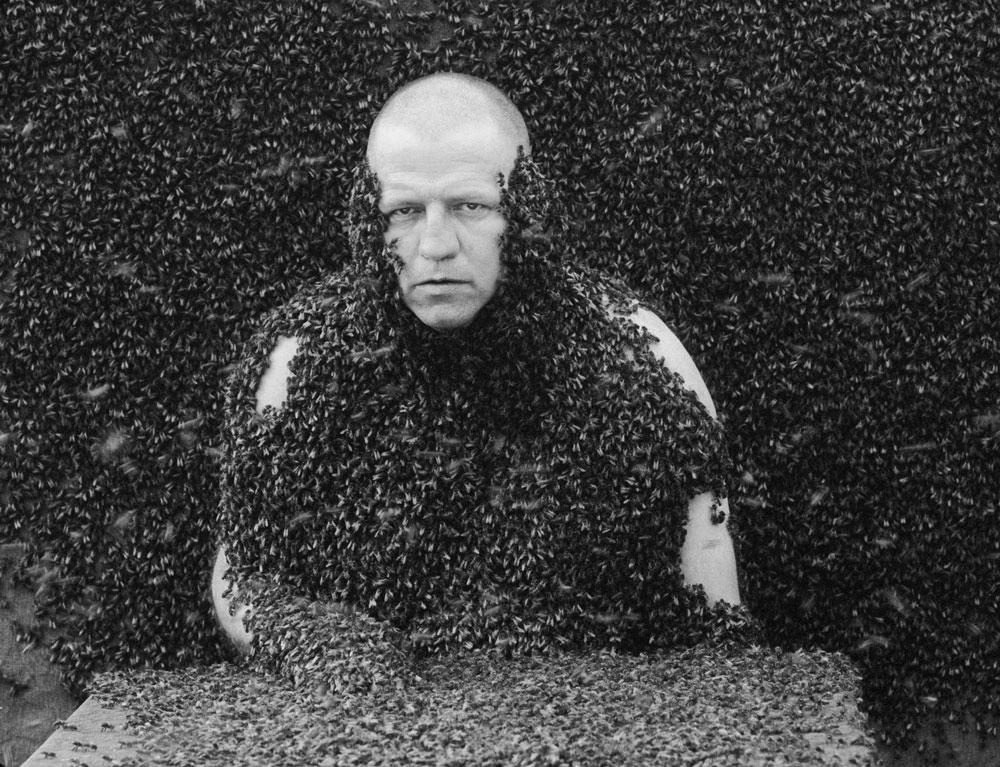 Jeroen Eisinga <em>Springtime</em> 2011 Video still © Jereon Eisinga