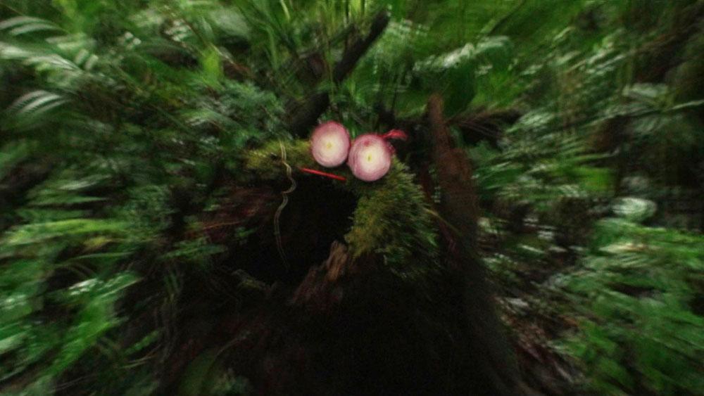 Dean Baldwin <em>Lime Eyes</em> 2012 Video still