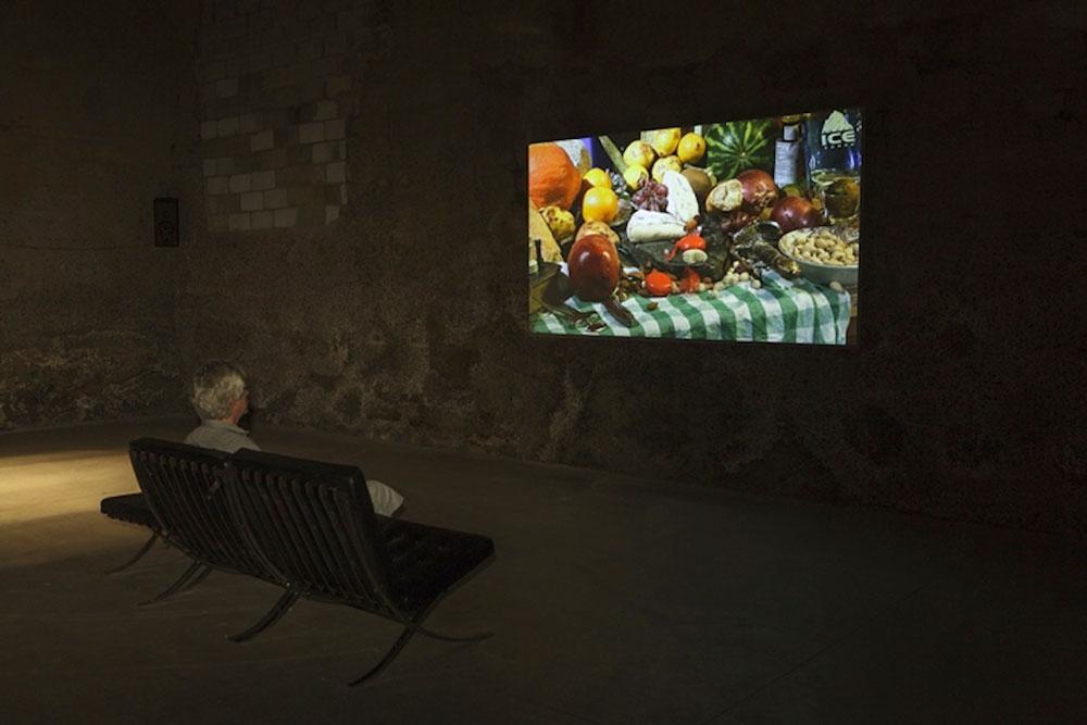 Dean Baldwin <em>Not Still Short Life</em> 2008 Installation view / photo Guy L'Heureux