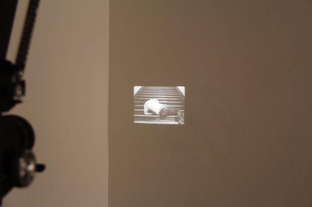 Tim Lee's work at &ldquo;When Attitudes Become Form Become Attitudes&rdquo; 2012 Installation view / photo CCA Wattis Institute