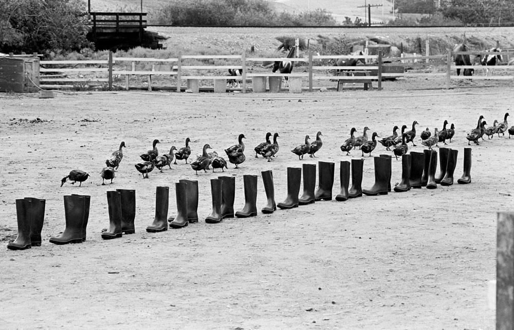 Eleanor Antin <em>100 Boots</em> 1971–73 Detail Courtesy of the artist and Ronald Feldman Fine Arts, New York