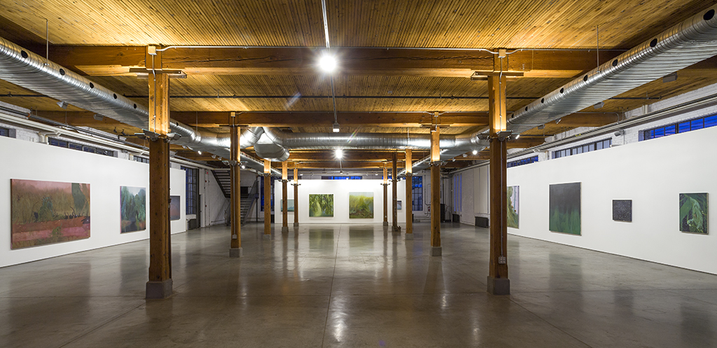 Rick Leong “Hybrid Vigour” 2012 Installation view / photo Guy L'Heureux