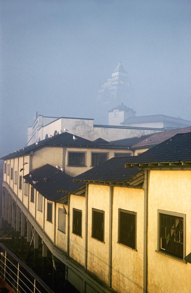 Fred Herzog <em>CPR Pier & Marine Building</em> 1953 Courtesy Equinox Gallery