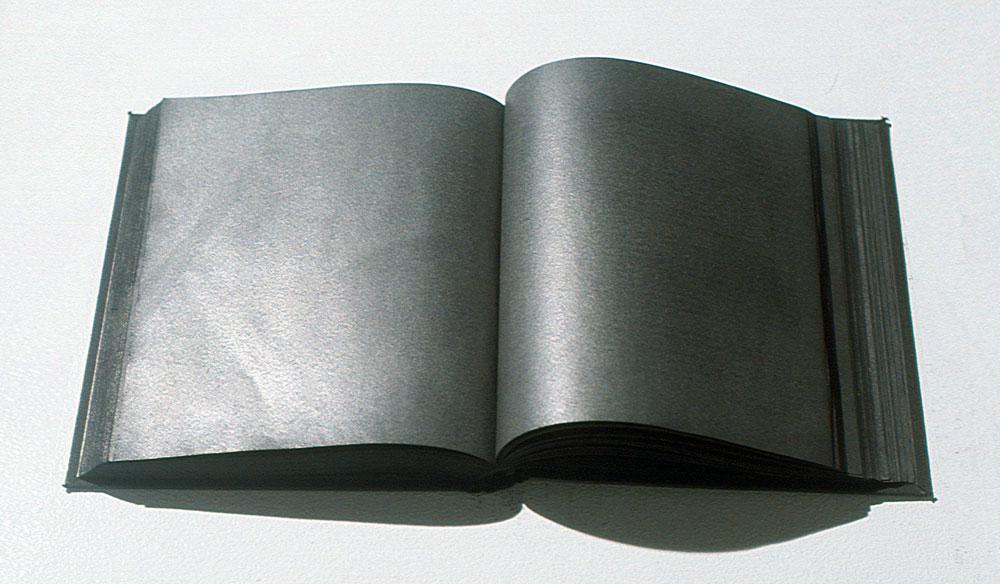 Ryan Park <em>Untitled (4’3”)</em> 2006 Courtesy the Blackwood Gallery and Justina M. Barnicke Gallery