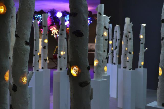 KC Adams <em>Birch Bark Ltd.</em> 2012 Installation view Courtesy Winnipeg Art Gallery / photo Elaine Stocki