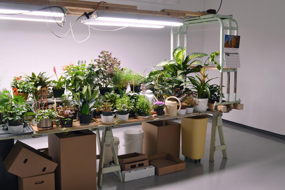 Dominique Rey <em>Greenhouse</em> 2012 Installation view Courtesy Winnipeg Art Gallery / photo Elaine Stocki
