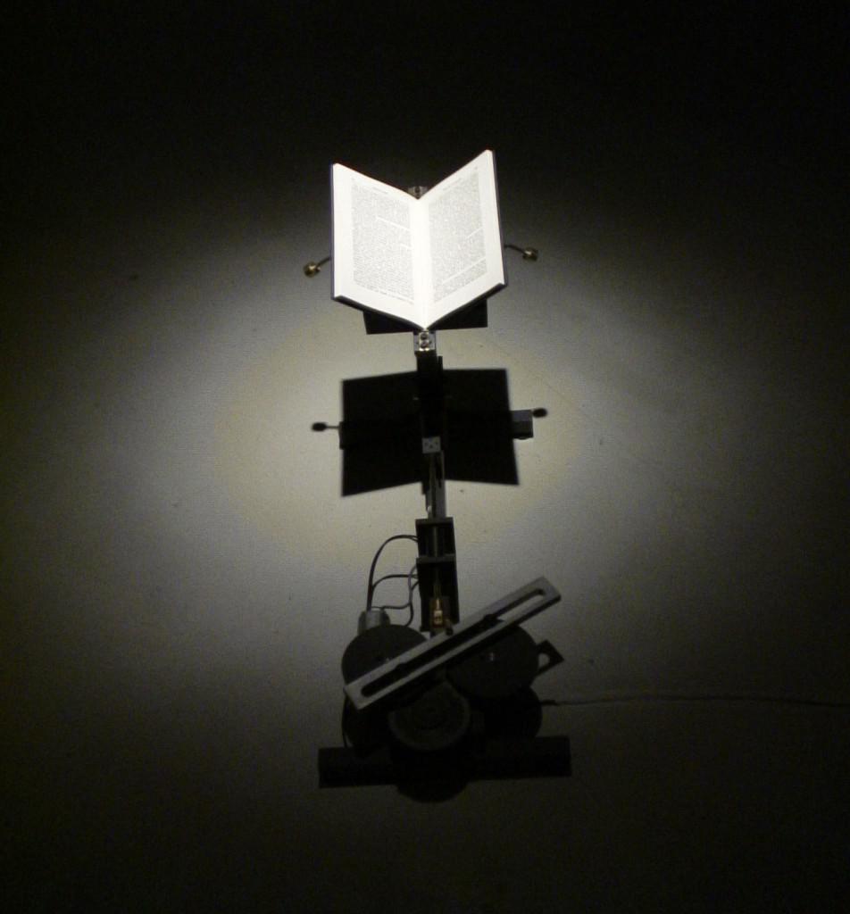 Robyn Moody <em>Butterflies. Species at Risk at the Edge of Reason</em> 2010–13 Courtesy the artist