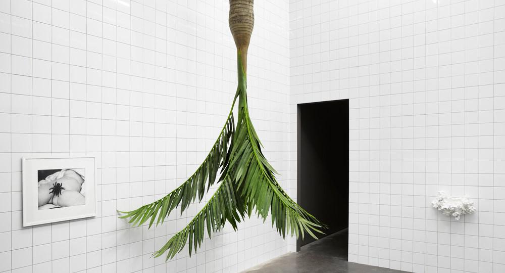 Rosemarie Trockel “A Cosmos” 2012 Installation view Courtesy New Museum, New York / photo Benoit Pailley (Image 1/8)