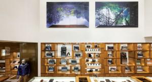 James Nizam’s Wild Flowers in Room and Tree in Room (from the series Anteroom; both 2012) installed at the Louis Vuitton Maison in Toronto, September 2012 Courtesy Birch Libralato / photo Christopher Dew