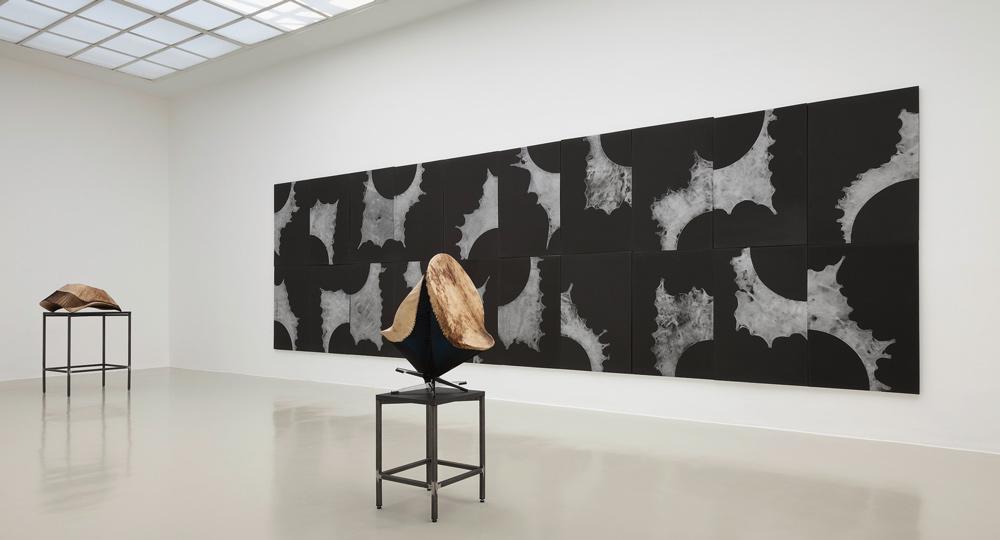 Installation view of Brian Jungen's exhibition at Kunstverein Hannover with (from left) Eero (2011), Five Year Universe (2011) and My Decoy (2011) / photo Raimund Zakowski (Image 1/16)