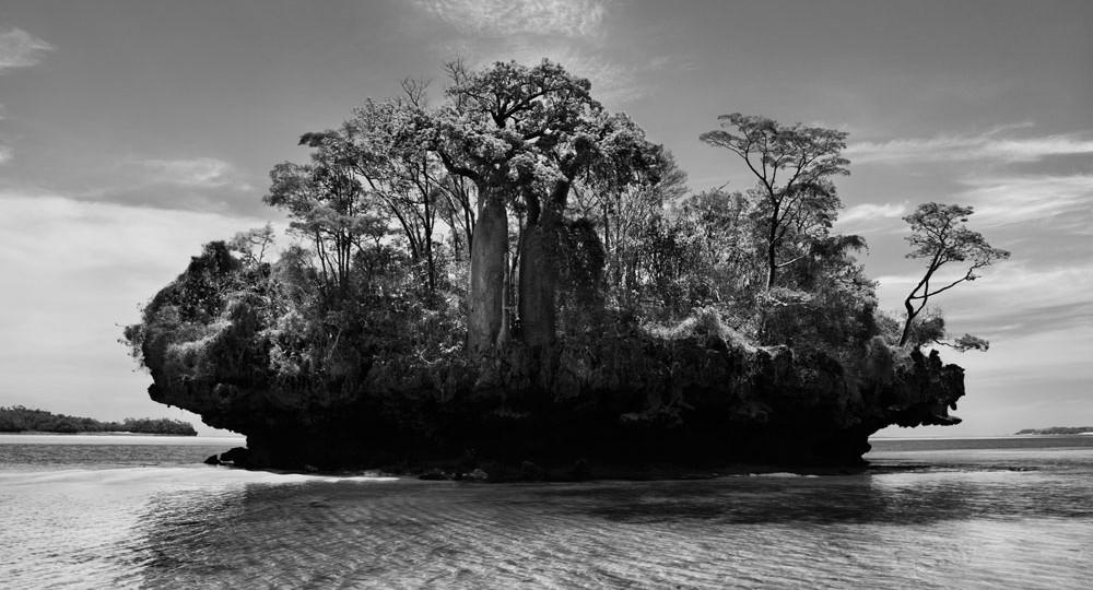 Sebastião Salgado, Baobab trees. Bay of Moramba. Madagascar, 2010